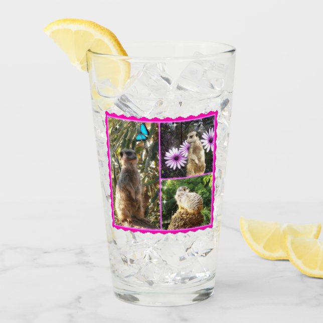 Rosa Lacy Meerkat Collarge Glaskopp (Framsida Ice)