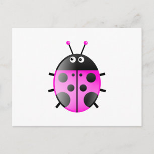 Rosa Ladybug Vykort
