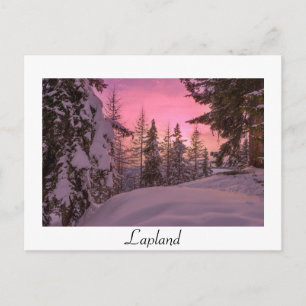 Rosa Lapland-vykort för vit text Vykort