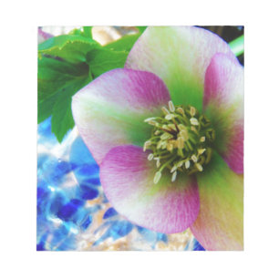 Rosa Lenten Ro blue glass boll Anteckningsblock