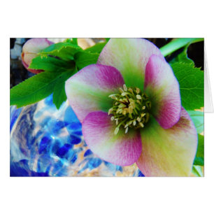 Rosa Lenten Ro blue glass boll Hälsningskort