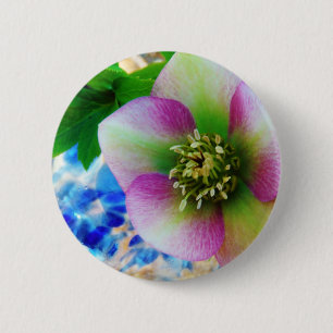 Rosa Lenten Ro blue glass boll Knapp