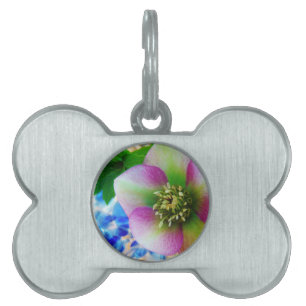 Rosa Lenten Ro blue glass boll Namnbricka Husdjur