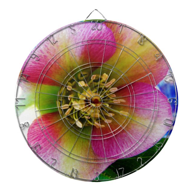 Rosa Lenten Ro Piltavla (Framsidan)