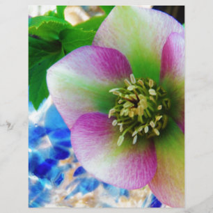 Rosa Lenten Ros blå glaskula