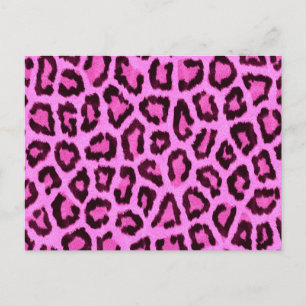 Rosa leopard print mönster vykort