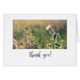 Rosa Light Campion Wildblomma Tack Hälsningskort