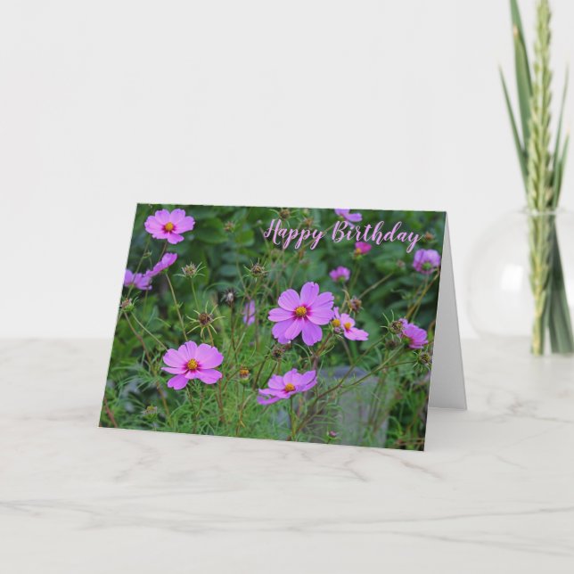 Rosa Lila Cosmos Flower Grattis på födelsedagen Ca Kort (Framsida)