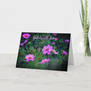 Rosa Lila Cosmos Flower kommer snart Kort