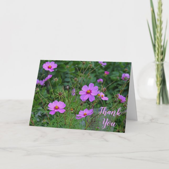 Rosa Lila Cosmos Flower Tack Message Kort (Framsida)