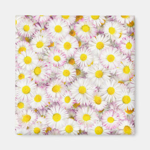 Rosa Lila Daisy Flower Mönster Magnet