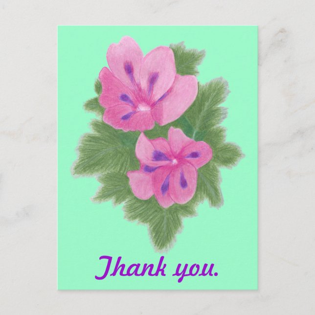 Rosa Lila Geranium Tack Postcards Vykort (Framsida)