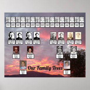 Rosa Lila Guld-nära moln två familjers Träd Poster