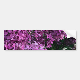 Rosa lila lilacs Bild på romantisk blommigt av r Bildekal
