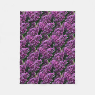 Rosa lila lilacs Bild på romantisk blommigt av r Fleecefilt