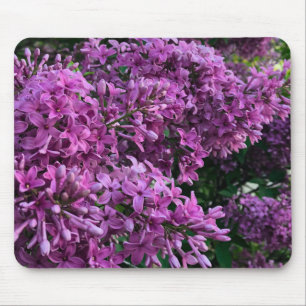Rosa lila lilacs Bild på romantisk blommigt av r Musmatta