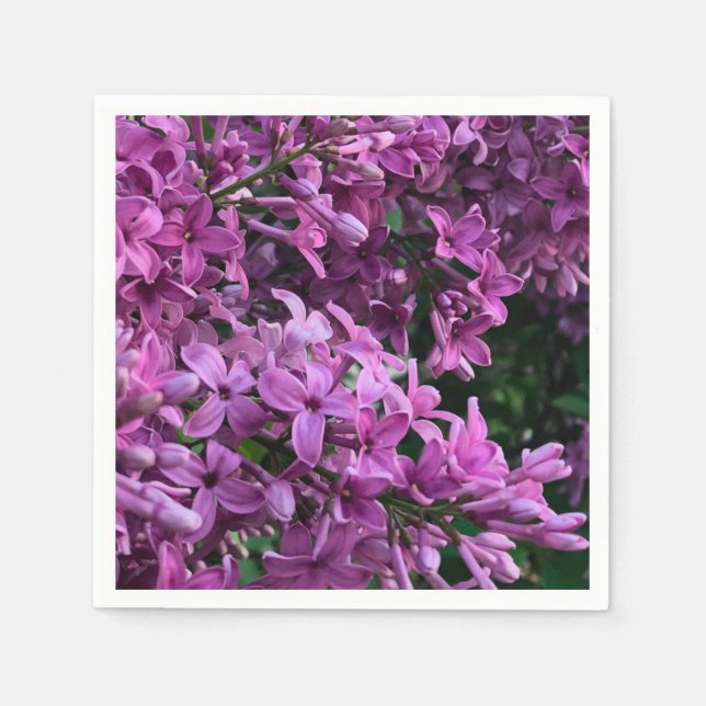 Rosa lila lilacs | Bild på romantisk blommigt av r Pappersservett (Framsidan)