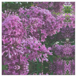 Rosa lila lilacs | Bild på romantisk blommigt av r Tyg