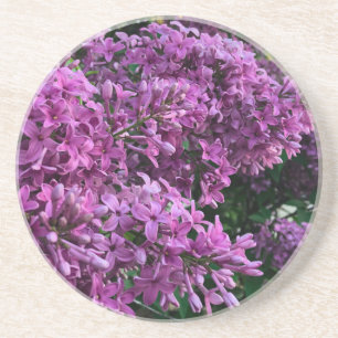 Rosa lila lilacs Bild på romantisk blommigt av r Underlägg