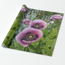 Rosa Lila Poppies Blommigt Flowers Wrapping Papper Presentpapper