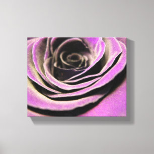 Rosa Lilac Ro Canvastryck