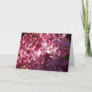 Rosa Lilacs-hälsningskort Kort