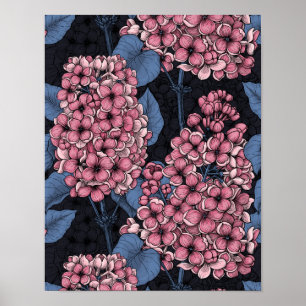 Rosa lilax på mörk blått poster