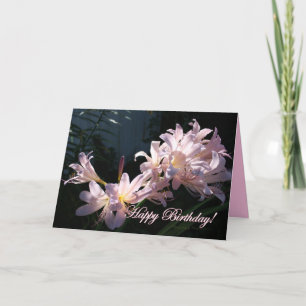 Rosa Lilies, Grattis på födelsedagen! Blommigtens Kort
