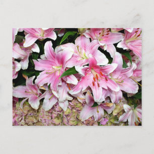 Rosa Lilies & Hydrangea Vykort