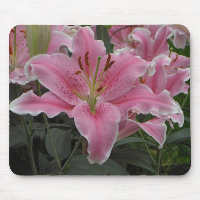 Rosa lilja Mousepad Musmatta (Framsidan)