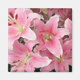 Rosa Lillies Magnet