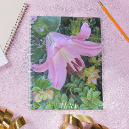 Rosa Lily Bloom Blommigt Anteckningsbok