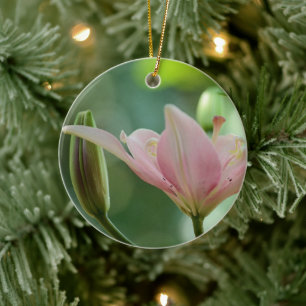 Rosa Lily-Bokeh av Shirley Taylor Julgransprydnad Keramik