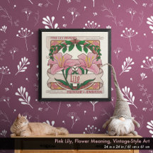 Rosa Lily- Flower Meaning Vintage-Stil Poster