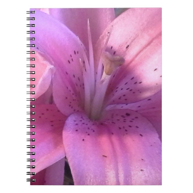 Rosa Lily Notebook Anteckningsbok Med Spiral (Framsidan)