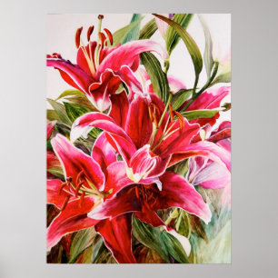 Rosa Lily Original Botanial Print Canvas Poster