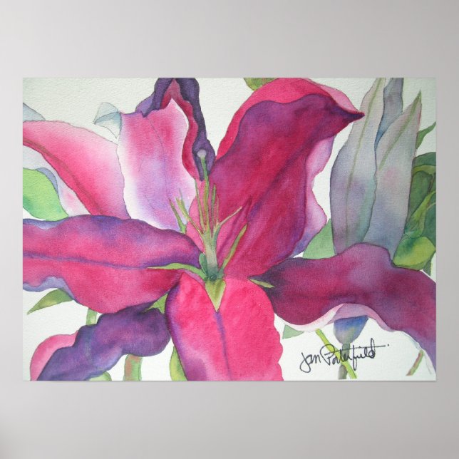Rosa Lily Print Poster (Framsidan)