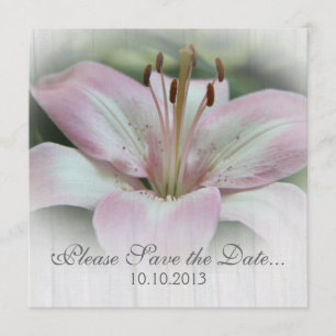 Rosa Lily Spara-date Spara Datumet