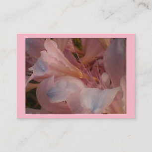 Rosa Lily Visitkort