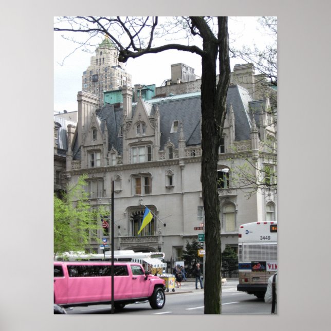 Rosa Limo Poster (Framsidan)