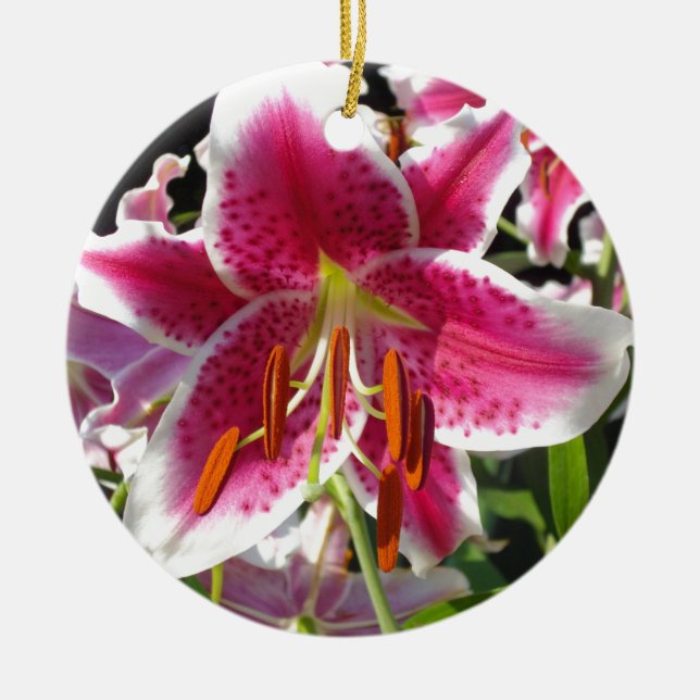 Rosa Lly rosa blommigt rosa tropiska blommor Julgransprydnad Keramik (Framsidan)