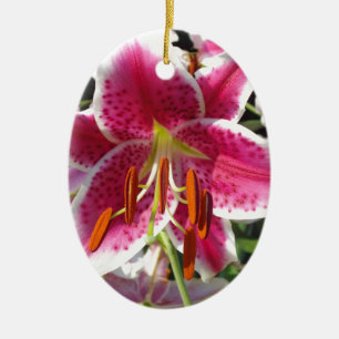 Rosa Lly rosa blommigt rosa tropiska blommor Julgransprydnad Keramik