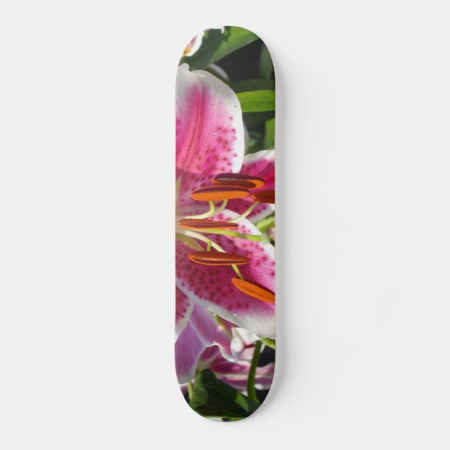 Rosa Lly rosa blommigt rosa tropiska blommor Skateboard Bräda 21,5 Cm (Framsida)