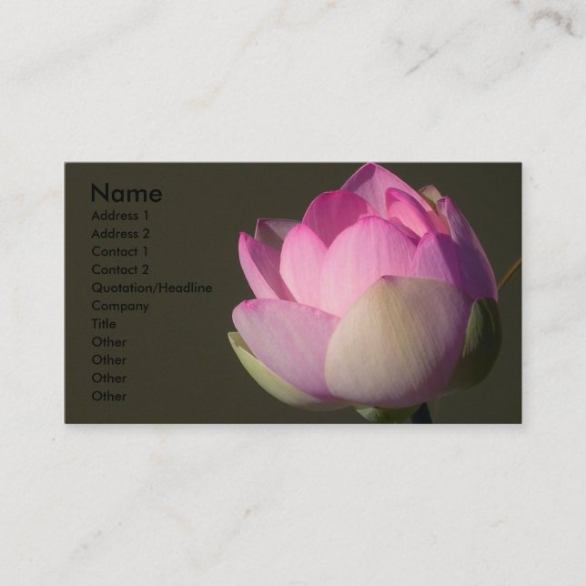 Rosa Lotus Affärskort Visitkort (Framsida)