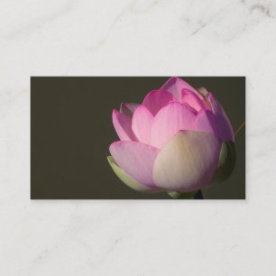 Rosa Lotus Affärskort Visitkort