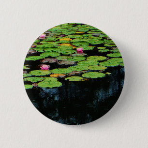 rosa lotus black knapp