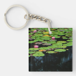 rosa lotus Black vatten