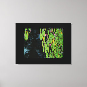 rosa lotus Black vatten Canvastryck