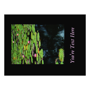 rosa lotus Black vatten Fototryck