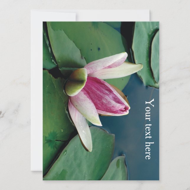 Rosa Lotus Blommar Flower Photo-inbjudan Inbjudningar (Framsida)